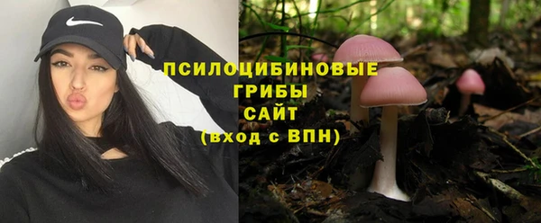 индика Вязьма