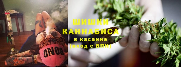соль ск Вяземский