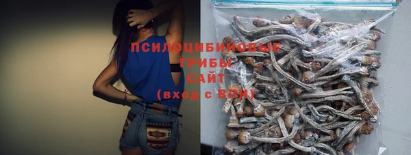 индика Вязьма