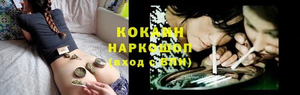 индика Вязьма