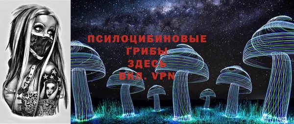 хмурый Вязники