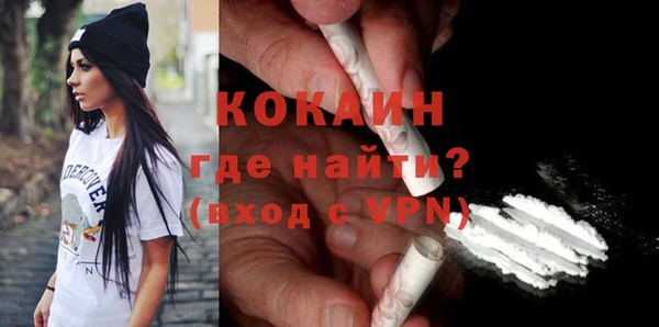 индика Вязьма