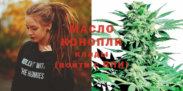соль ск Вяземский