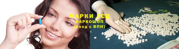 индика Вязьма