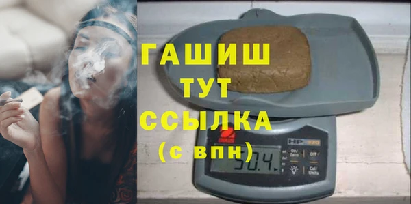 индика Вязьма
