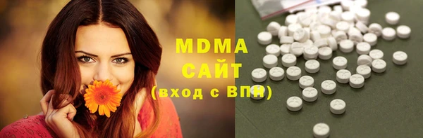 индика Вязьма