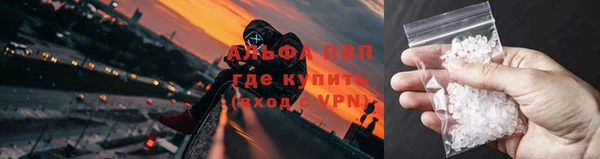 индика Вязьма