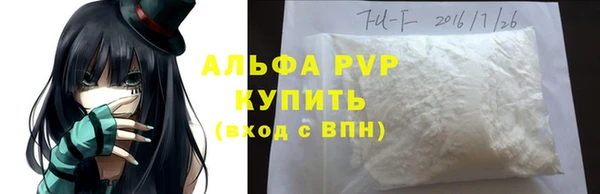 индика Вязьма