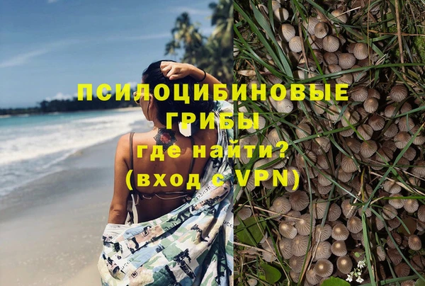 индика Вязьма