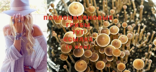 хмурый Вязники
