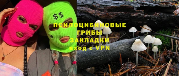соль ск Вяземский