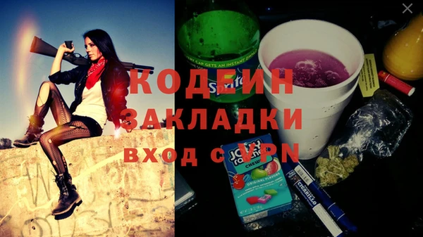 индика Вязьма