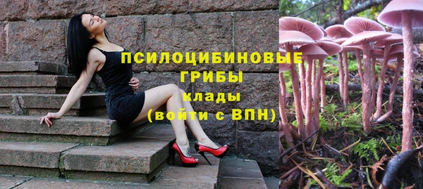 соль ск Вяземский