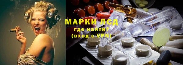 индика Вязьма