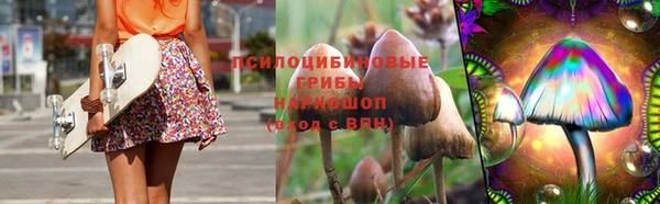 индика Вязьма