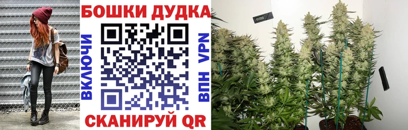 Бошки Шишки планчик  Новосибирск 